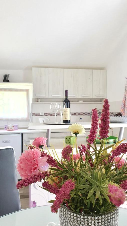 Apartment Jelena Sutvara Kotor Exterior photo