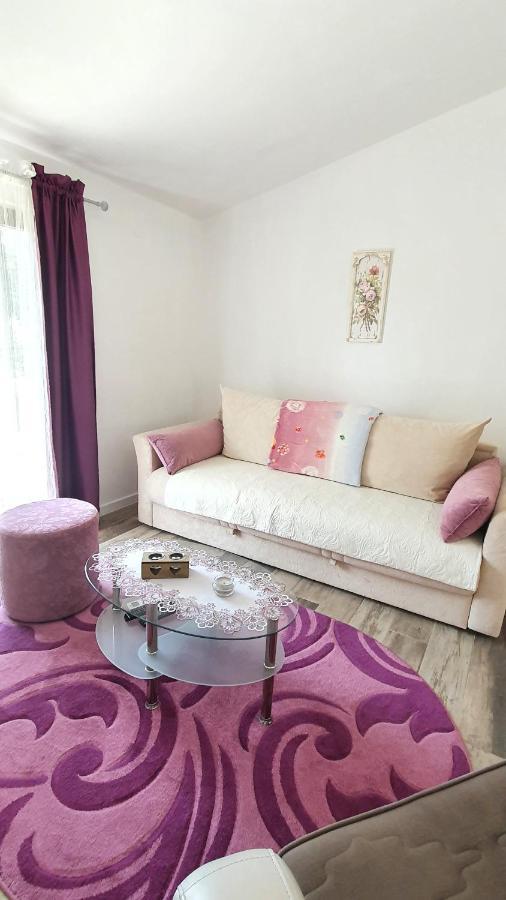 Apartment Jelena Sutvara Kotor Exterior photo